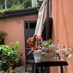 Photo n°6 de l'avis de Teng.e fait le 26/07/2022 à 05:48 sur le  Osteria Pecora Nera Venezia à Venice