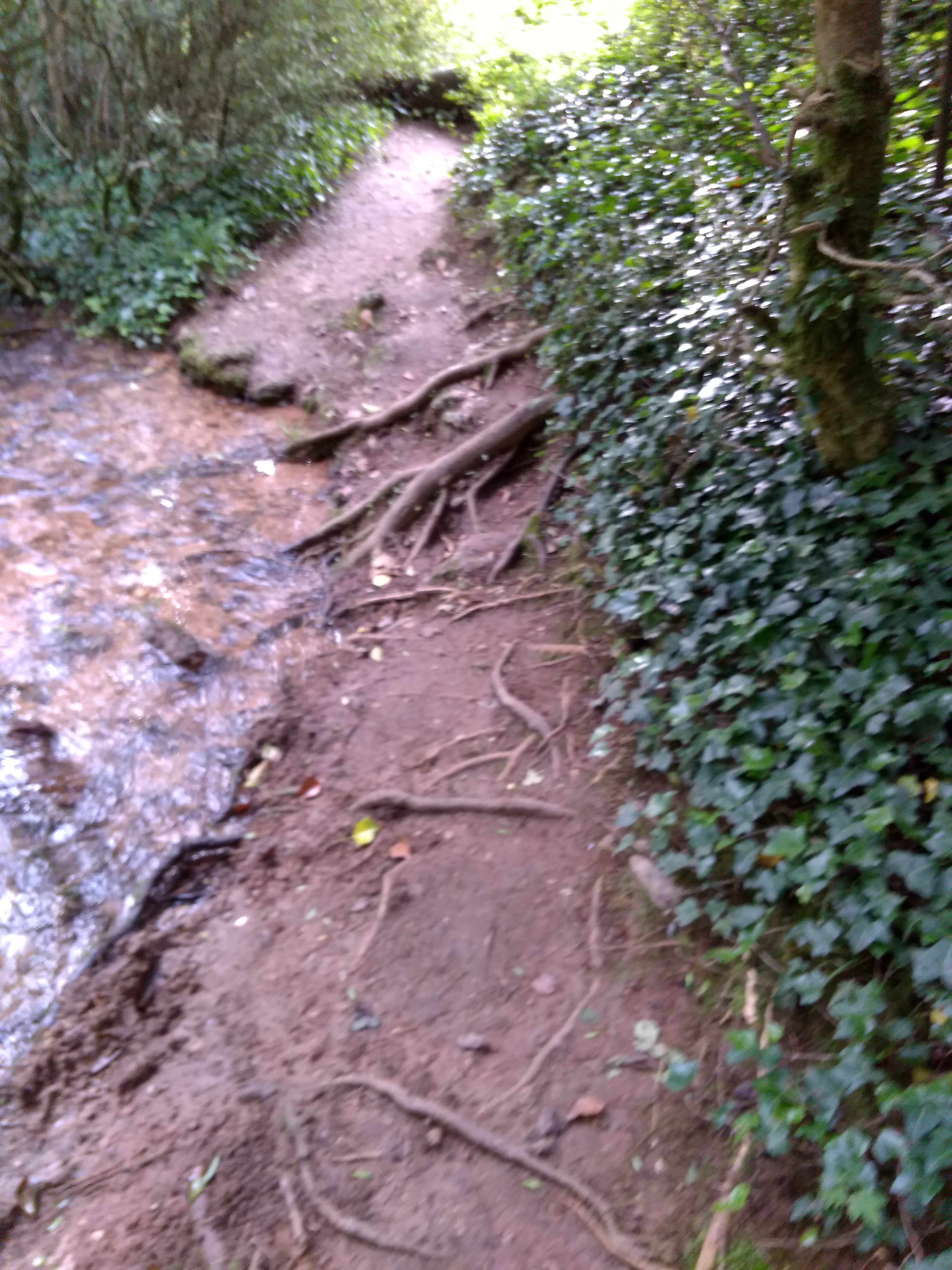 Photo n° 12 de l'avis de Thierry.v fait le 27/06/2018 à 10:34