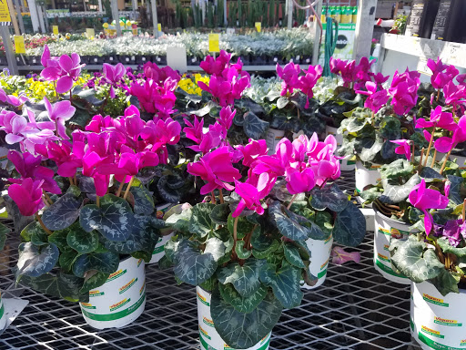 Home Improvement Store «The Home Depot», reviews and photos, 40 Park Pl Dr, Covington, LA 70433, USA