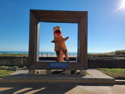 Explore flower tattoo ideas arm, creative tattoo ideas in South Padre Island, available at Peggys Temporary & Permanent Tattoos