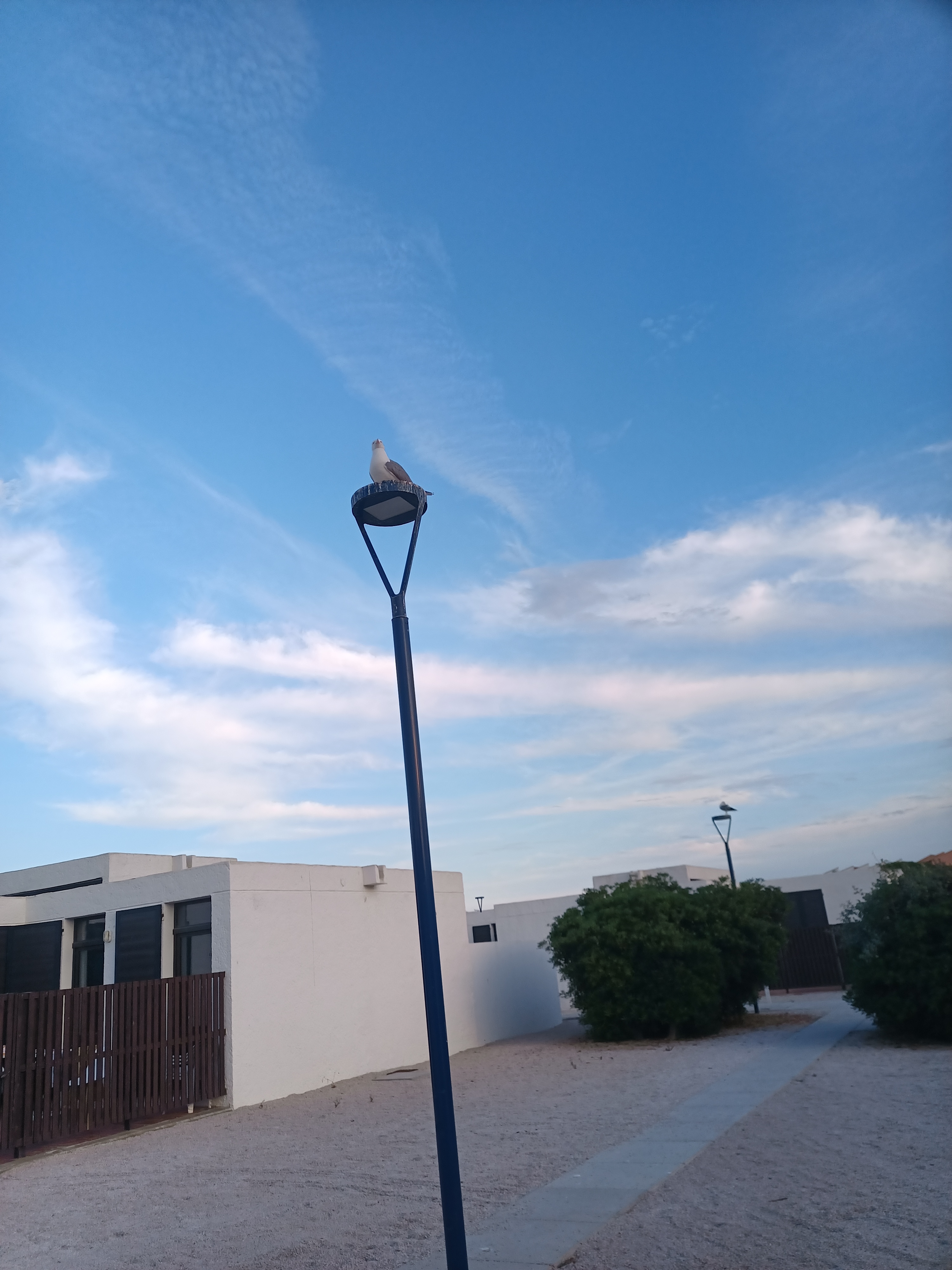Photo n° 4 de l'avis de Papi.l fait le 14/06/2023 à 18:18