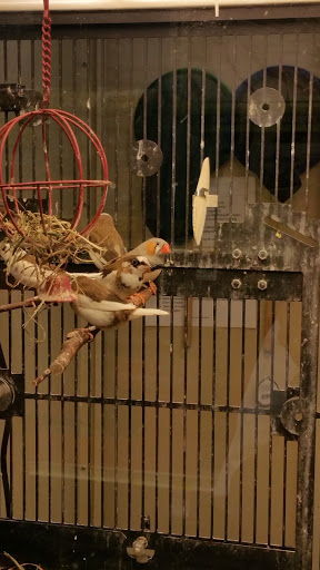 Pet Supply Store «PetSmart», reviews and photos, 5810 Antioch Rd, Merriam, KS 66202, USA