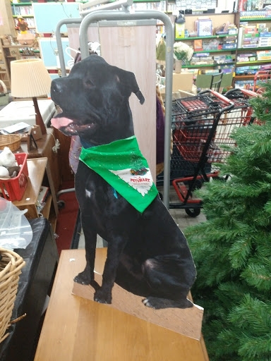 Thrift Store «Safe Haven Animal Sanctuary Thrift Shop», reviews and photos, 840 El Paseo Rd, Las Cruces, NM 88001, USA