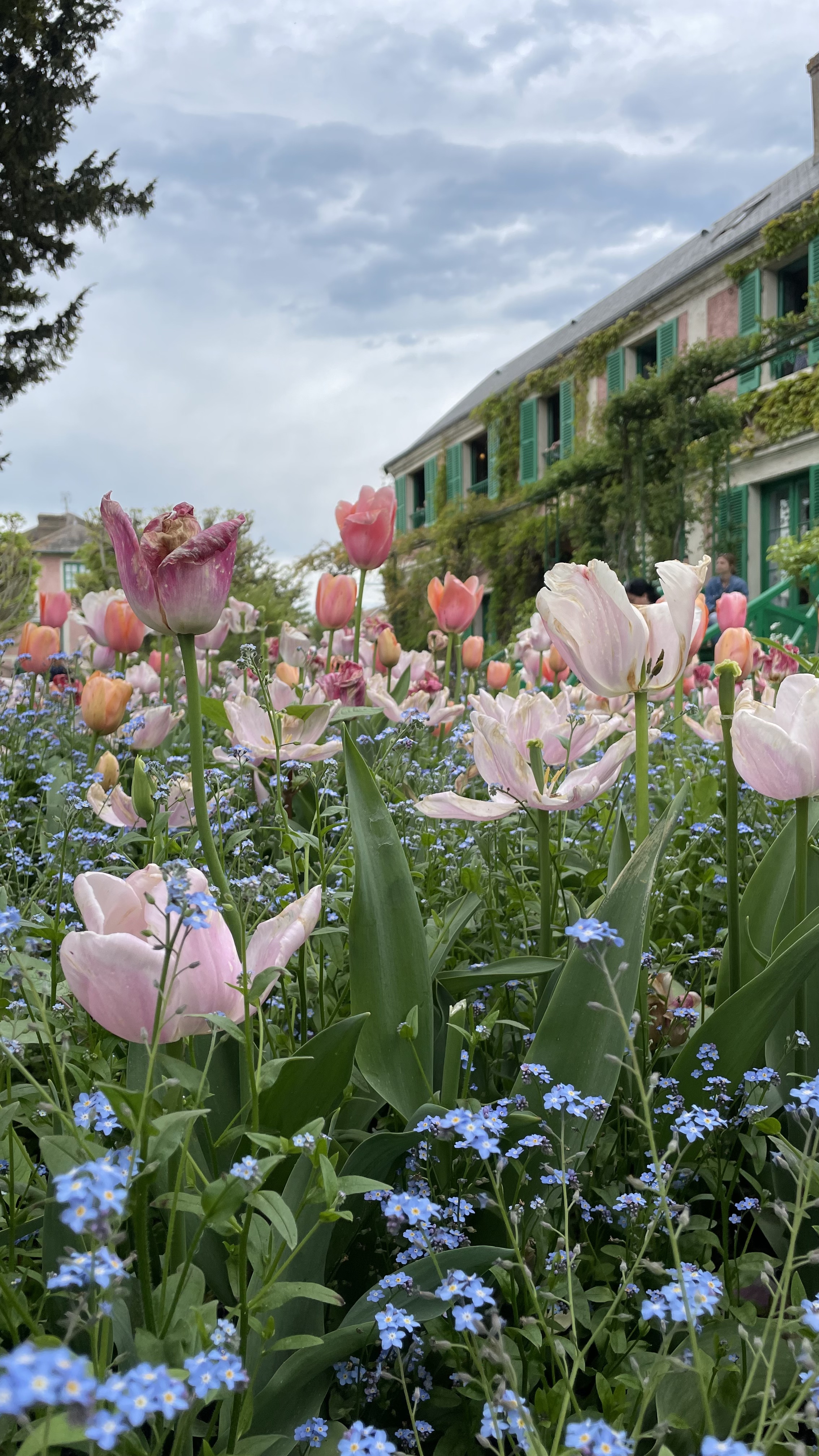 Photo n° 11 de l'avis de Marine.o fait le 21/05/2023 à 14:18