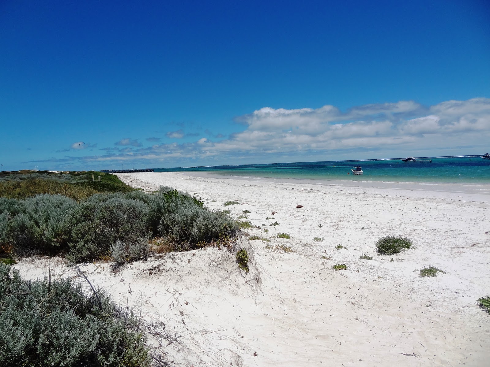 Fotografija Hangover Bay Beach priljubljeno mesto med poznavalci sprostitve