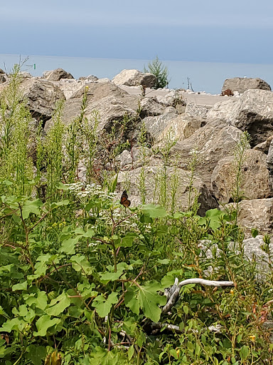 Park «Shades Beach Park», reviews and photos, 7000 E Lake Rd, Erie, PA 16511, USA