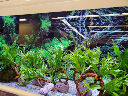 Pet Supply Store «Petco Animal Supplies», reviews and photos, 2140 E Blvd St, Kokomo, IN 46902, USA