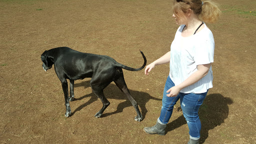 Park «Percy Warner Park», reviews and photos, 7311 Tennessee 100, Nashville, TN 37221, USA