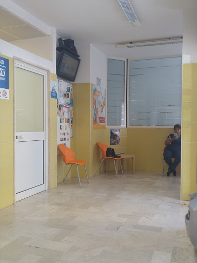 Pensioni per cani e dog hotel a Centro Veterinario Einaudi