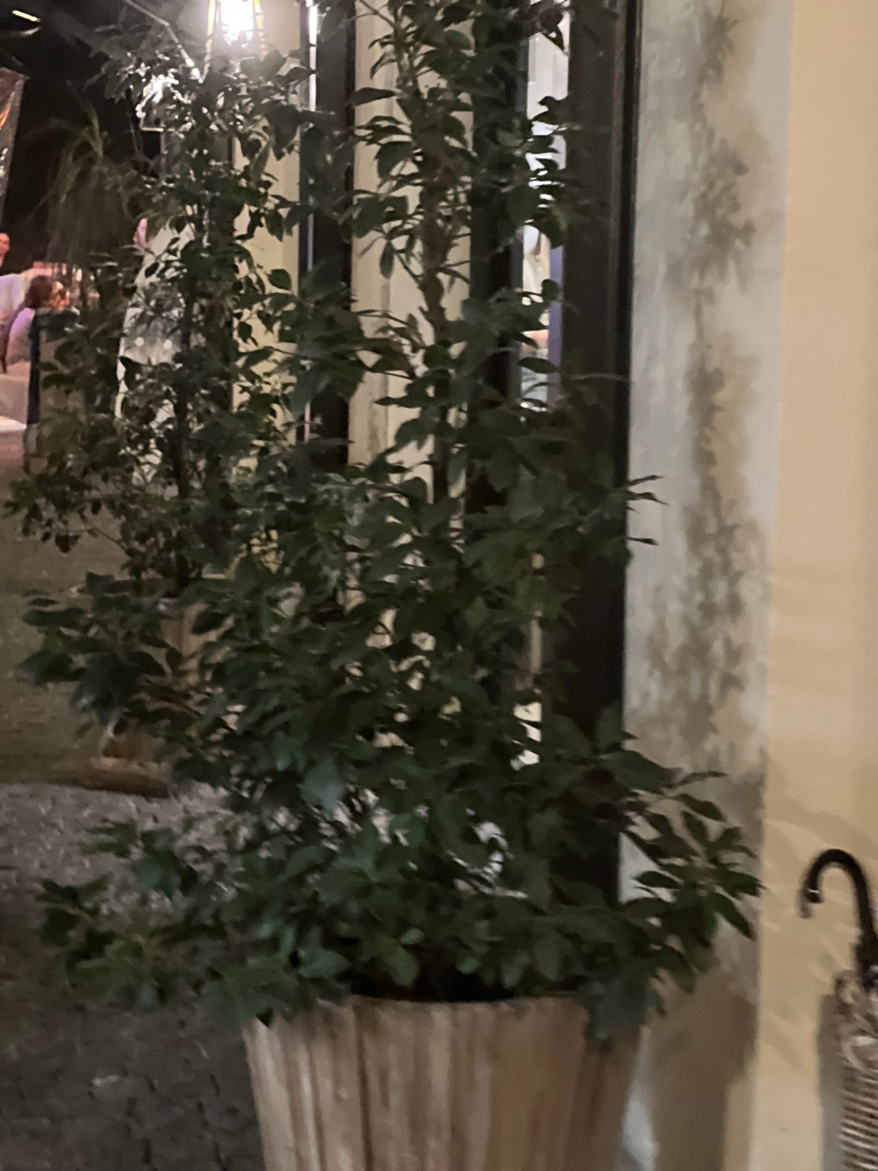 Photo n° 43 de l'avis de Nsa.S fait le 07/08/2022 à 20:42