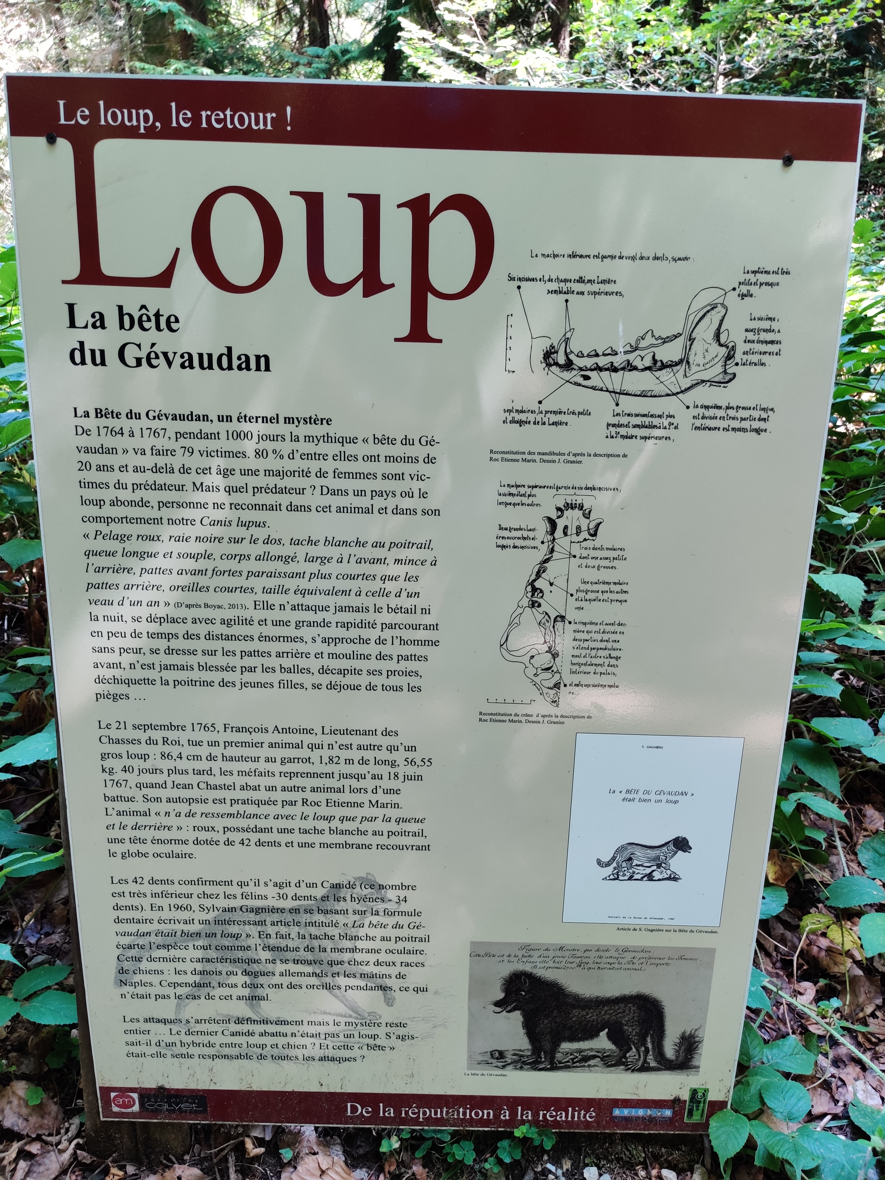 Photo n° 18 de l'avis de Julien.o fait le 14/08/2022 à 13:43