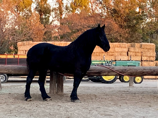 Produce Market «Underwood Family Farms», reviews and photos, 3370 Sunset Valley Rd, Moorpark, CA 93021, USA