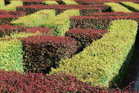 Schwartz Lawn Maintenance - Photo 7 - Car repair in Wayne, MI, Dearborn