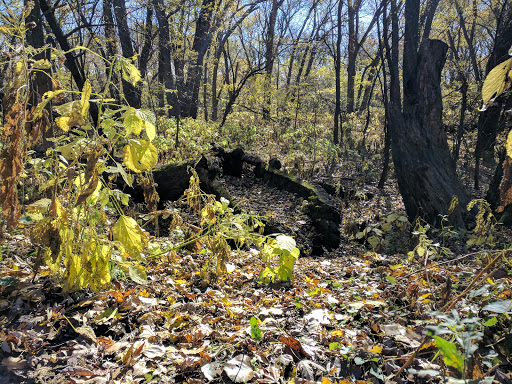 Nature Preserve «Crosby Farm Regional Park», reviews and photos, 2595 Crosby Farm Rd, St Paul, MN 55116, USA