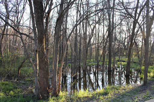 Park «Forney Community Park», reviews and photos, 241 S Farm to Market 548, Forney, TX 75126, USA