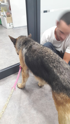 Misalvet( Clínica Veterinaria) en Medina-Sidonia