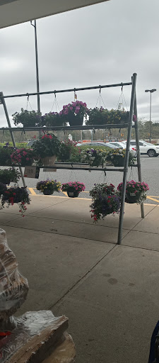 Grocery Store «Stop & Shop», reviews and photos, New State Highway New State Hwy, Raynham, MA 02767, USA