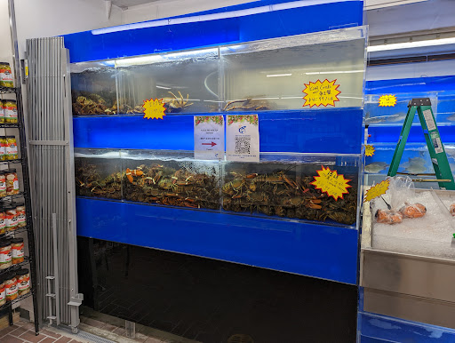 Supermarket «Western Beef Supermarket», reviews and photos, 44-44 College Point Blvd, Flushing, NY 11355, USA