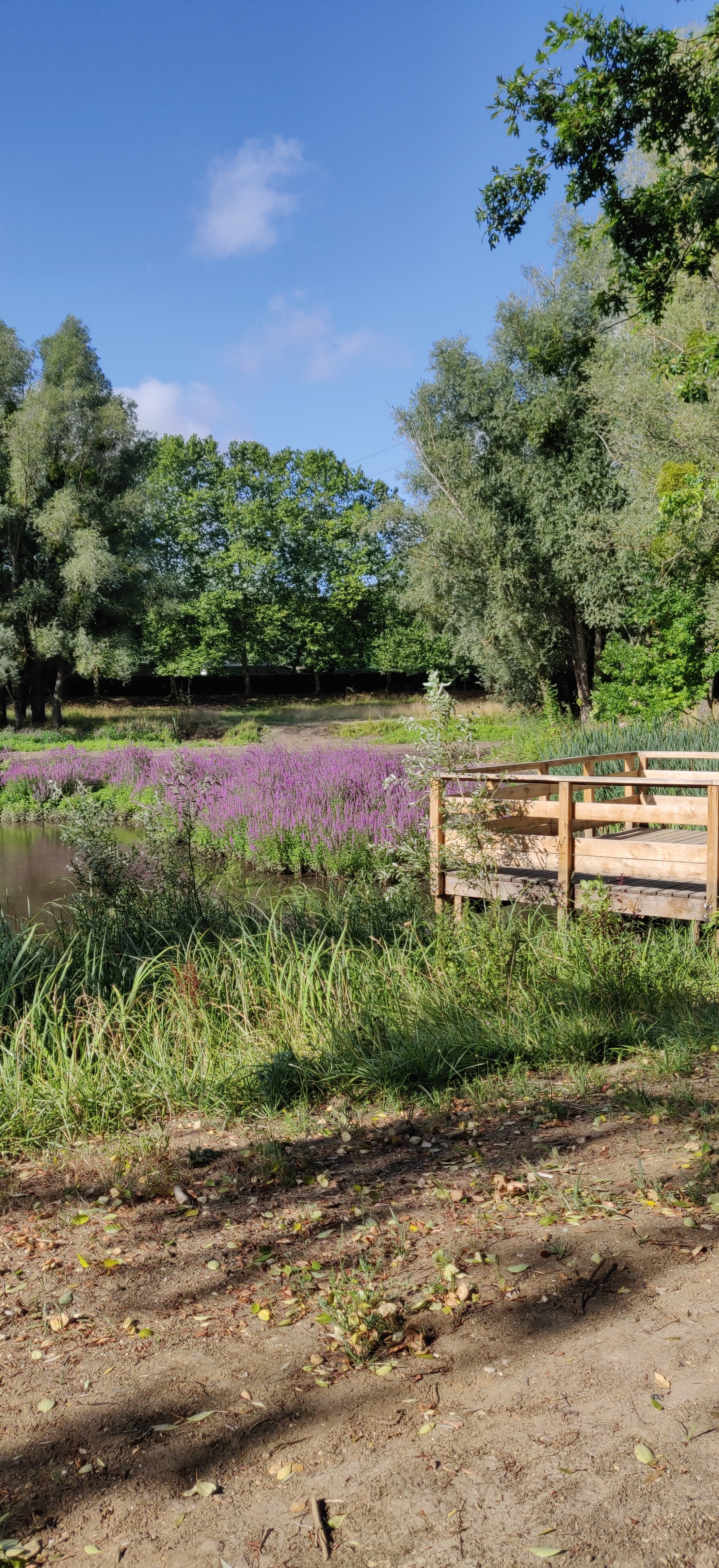 Photo n° 1 de l'avis de Fabrice.a fait le 31/07/2019 à 10:50