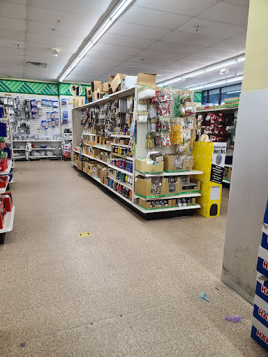 Dollar Store «Dollar Tree», reviews and photos, 6539 Annapolis Rd, Landover Hills, MD 20784, USA