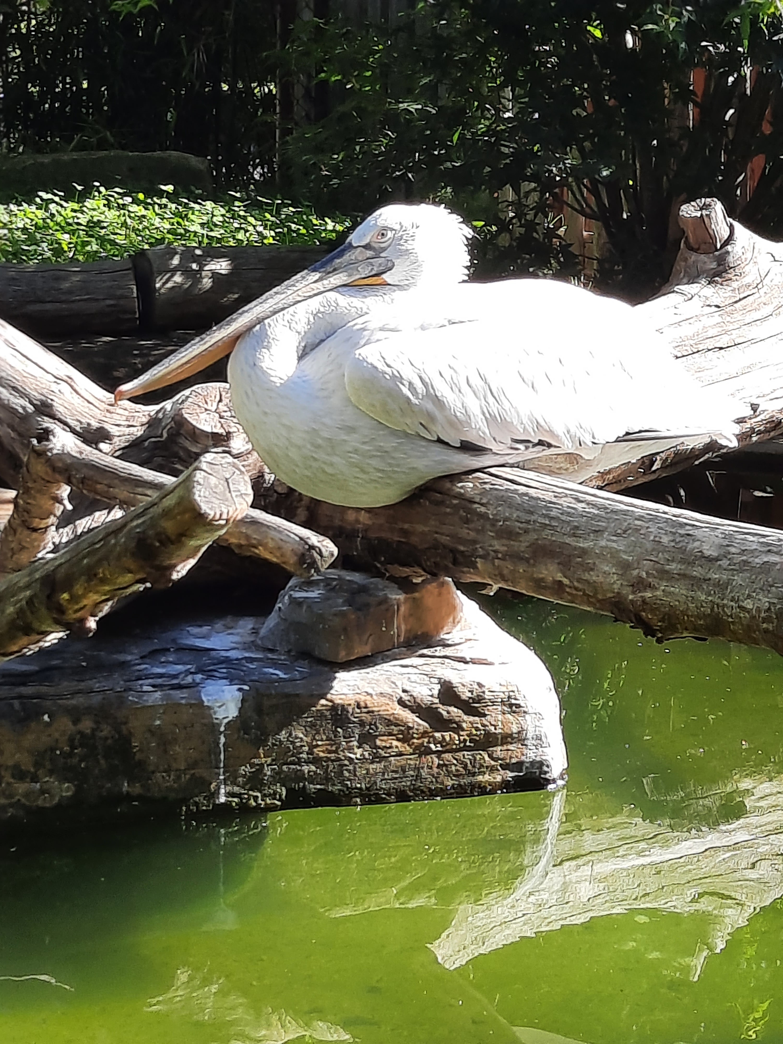 Photo n° 21 de l'avis de Gwen.i fait le 08/08/2023 à 13:19