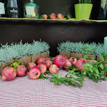 Photo n°5 de l'avis de Roberta.i fait le 01/10/2022 à 18:09 sur le  Ristorante Antica Trattoria Al Bosco à Saonara