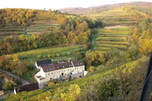 Weinbau & Gästehaus Weidenauer image