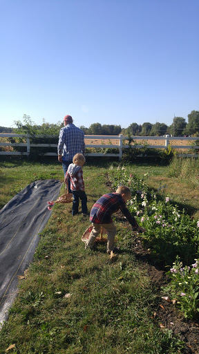 Event Venue «The Marmalade Lily», reviews and photos, 9850 Schlottman Rd, Loveland, OH 45140, USA