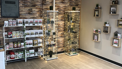 Aromextrem Dreux : CBD SHOP - YERBA MATE SHOP à Dreux