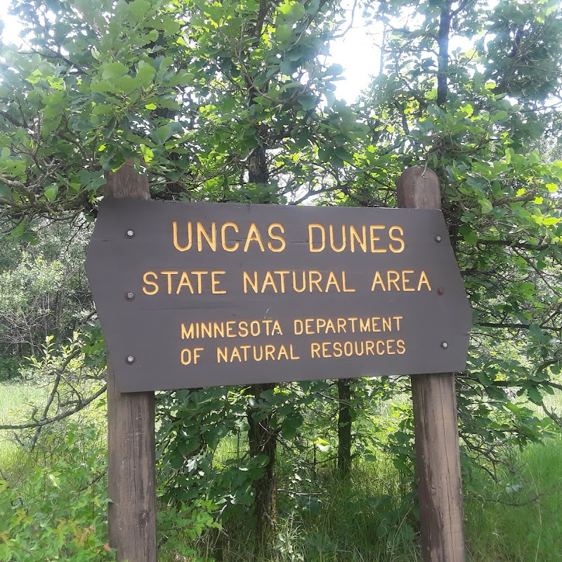 Sand Dunes State Forest