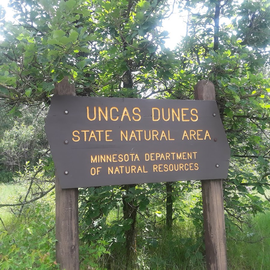 Sand Dunes State Forest