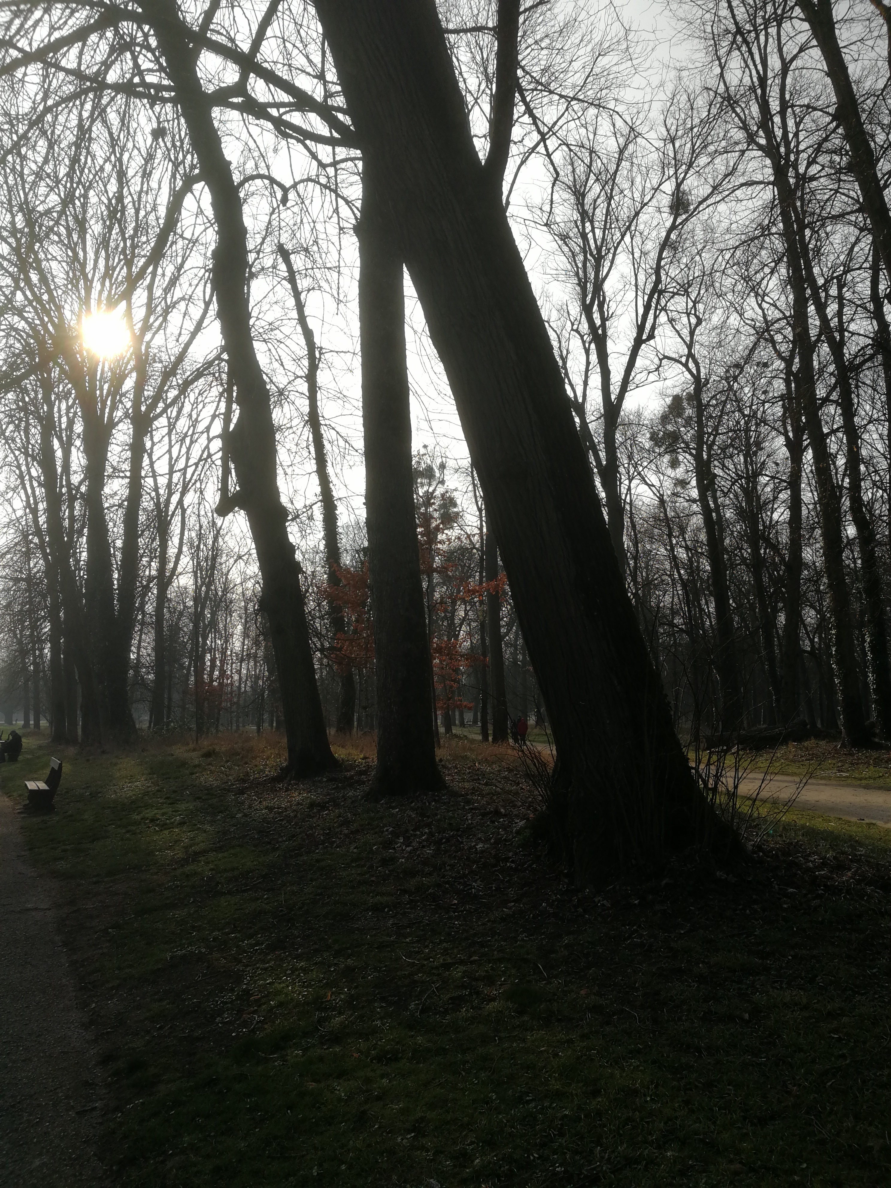 Photo n° 13 de l'avis de Vincent.t fait le 24/02/2018 à 15:49