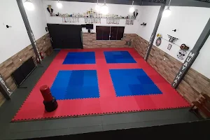 Academia Matriz Miquinho jiu jitsu image