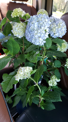 Florist «Countryside Floral And Greenhouses», reviews and photos, 129 Mt Cobb Hwy, Lake Ariel, PA 18436, USA