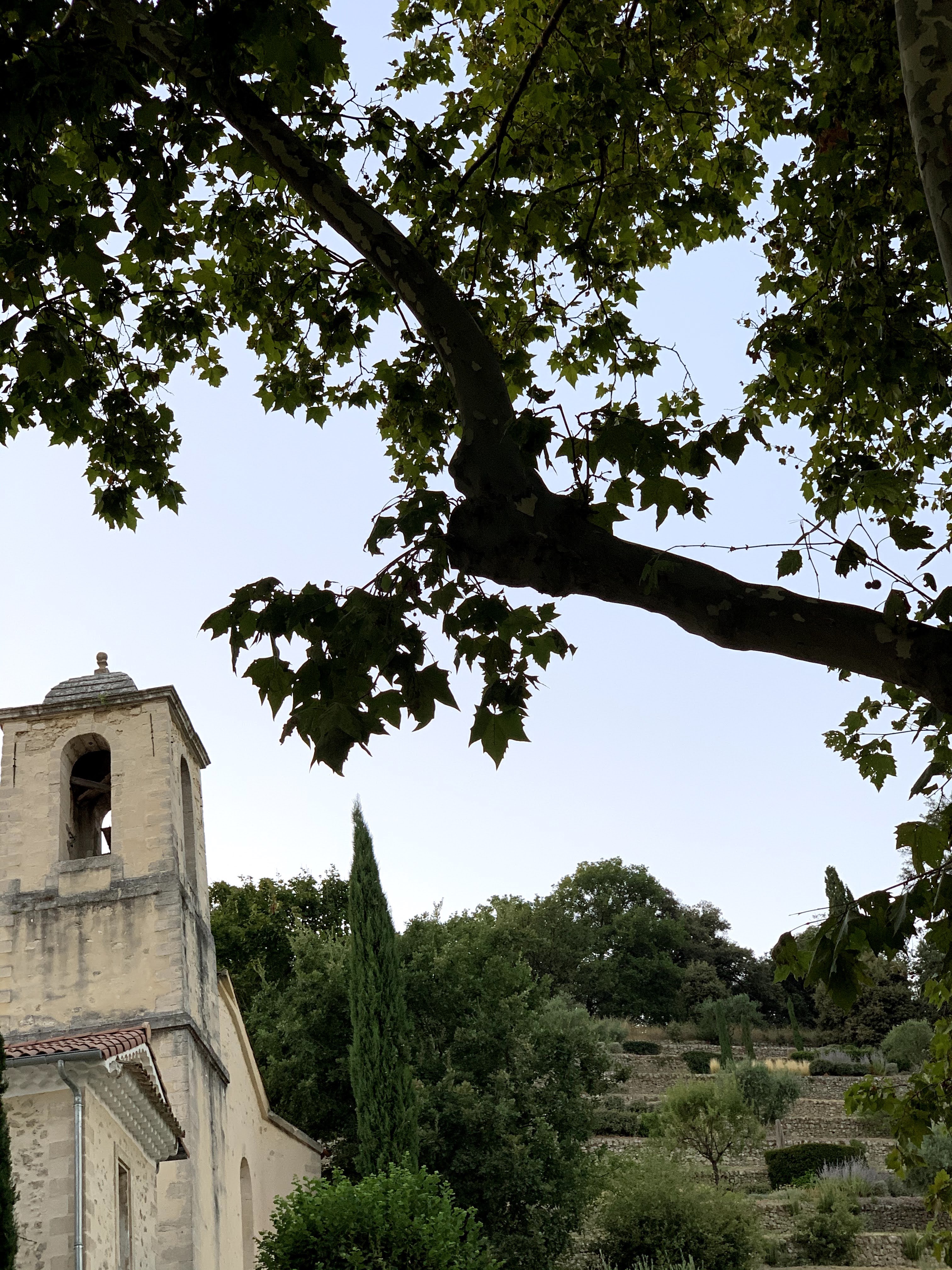 Photo n° 1 de l'avis de philippe.a fait le 15/08/2020 à 17:16