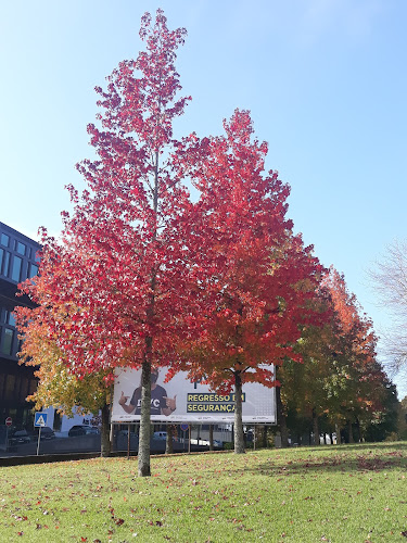 Escola Superior de Educação, Instituto Politécnico de Viana do Castelo - Escola