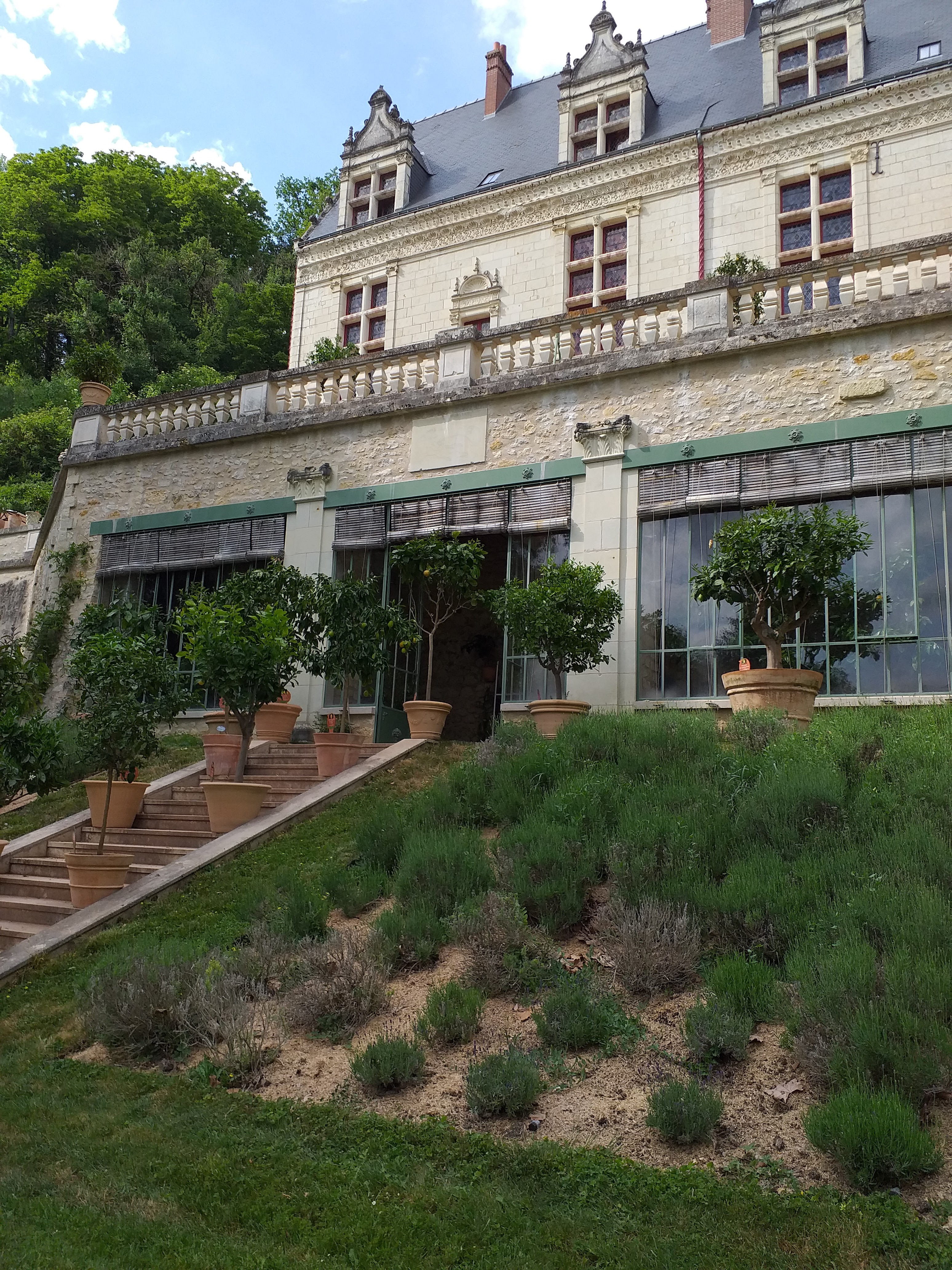 Photo n° 7 de l'avis de Lee.u fait le 22/05/2022 à 09:19