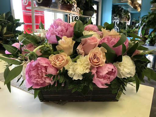 Florist «Bayville Florist Inc. Always Something Special», reviews and photos, 950 Atlantic City Blvd, Bayville, NJ 08721, USA