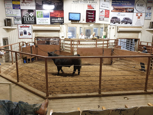 Cattle market Amarillo