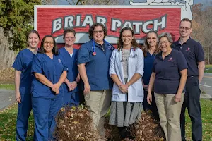 Briar Patch Veterinary Hospital image
