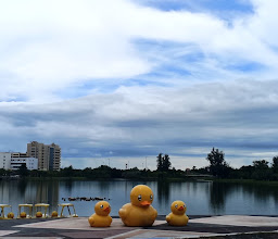 Udon Thani Yellow Duck photo