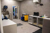 K9 Resorts Luxury Pet Hotel Houston-Heights - Photo 3 - Car repair in Houston, TX, Houston