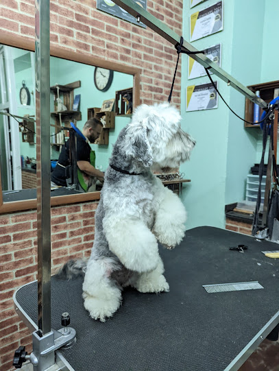 Trébol Dog Grooming Peluquería y Estilismo Canino - Servicios para mascota en Málaga