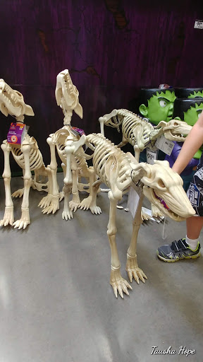 Home Improvement Store «The Home Depot», reviews and photos, 745 S Val Vista Dr, Gilbert, AZ 85296, USA