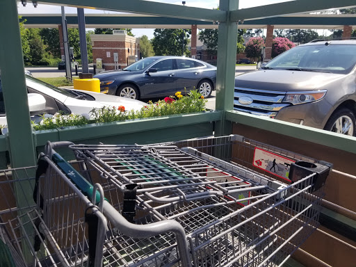 Grocery Store «Lowes Foods of Apex», reviews and photos, 5400 Apex Peakway, Apex, NC 27502, USA