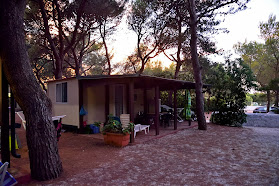 Torre Pozzelle Camping