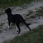 Photo n°3 de l'avis de sabrina.i fait le 05/05/2019 à 13:50 sur le  Enjoy Park - Parco Santa Barbara à Località