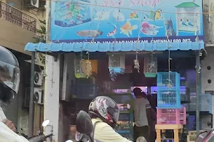 Matsya Aquarium & Pet Shop image