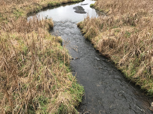 Nature Preserve «Rock Run Preserve - Black Road Access», reviews and photos, Black Rd, Joliet, IL 60431, USA