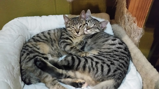 Pet Store «Next to Nature», reviews and photos, 4543 California Ave SW, Seattle, WA 98116, USA